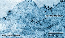 nanobots attacking cancer cells